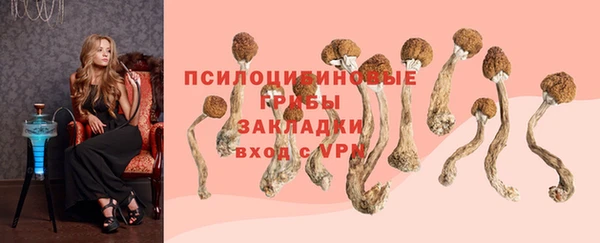 трава Абаза