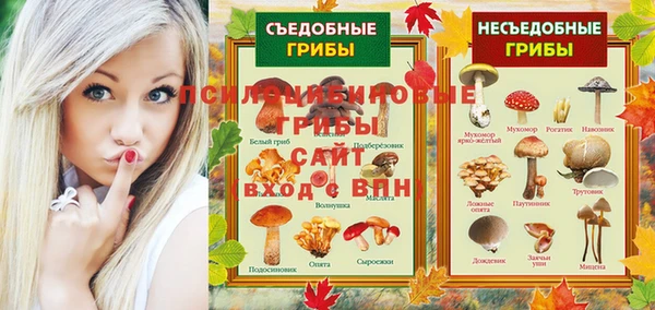 трава Абаза