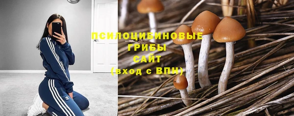 mix Абинск