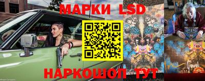 стаф Будённовск