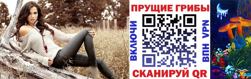 Галлюциногенные грибы GOLDEN TEACHER  omg ТОР  Ивантеевка 