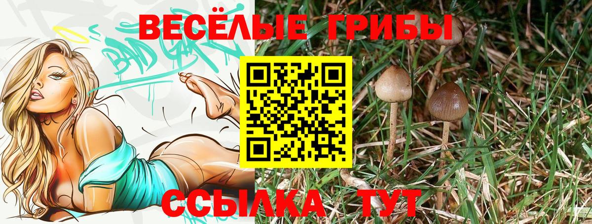 Галлюциногенные грибы ЛСД Ивантеевка